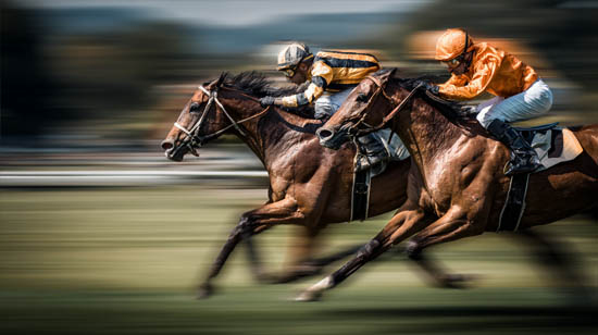 Randwick — R5 — #2